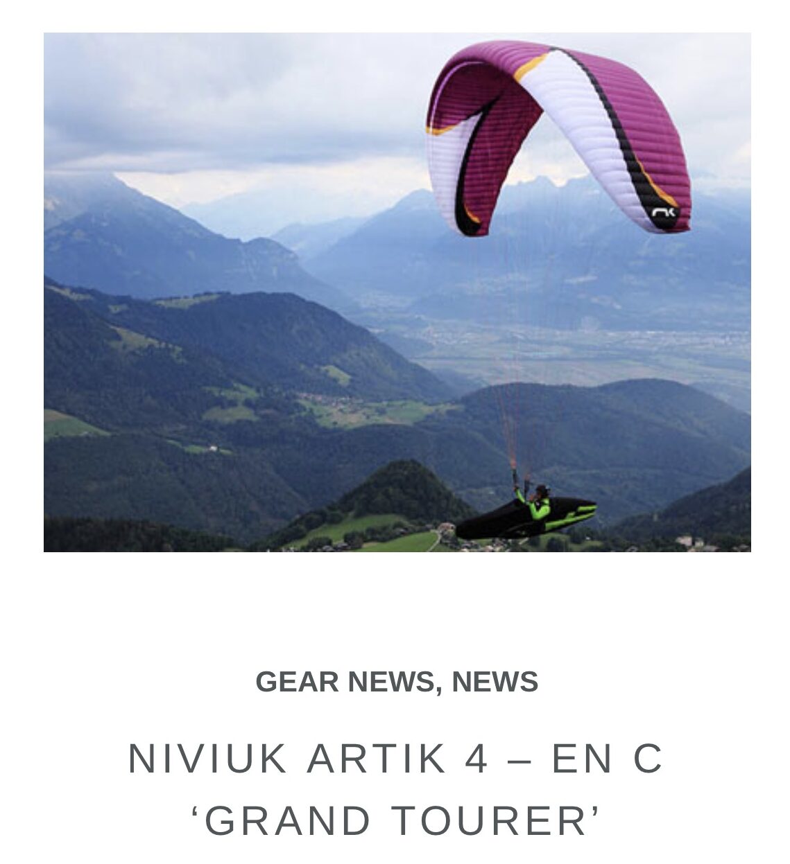 Niviuk Artik 4  size 25